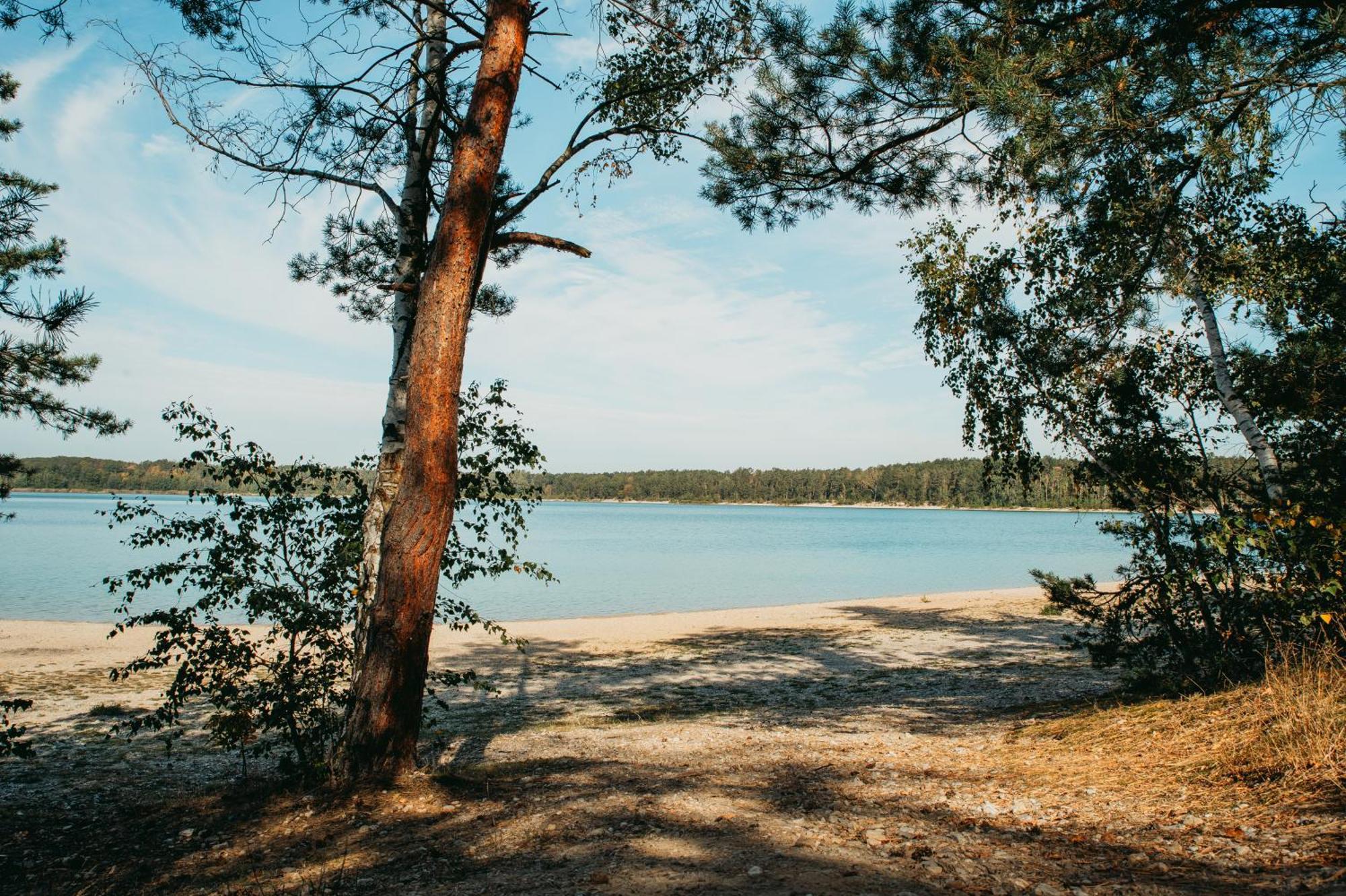 Forum Grillensee Naunhof المظهر الخارجي الصورة